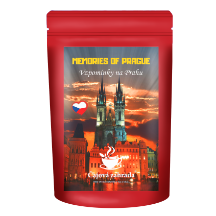 Vzpomínky na Prahu