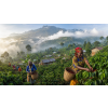 Káva Uganda – čerstvě pražená 100% arabica (Varianta mletá 200g)