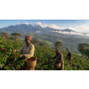 Káva Keňa – čerstvě pražená 100% arabica (Varianta mletá 100g)