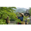 ginkgo biloba bylinny caj 70 g atmosfera 034913b4