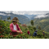 Káva Peru v dóze – 100% Arabica Latino Café (Varianta zrnková 200g)