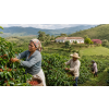 Káva Espresso Latino Café v dóze – 100% arabica (Varianta zrnková 200g)