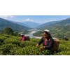 India Darjeeling FTGFOPI Tukdah – černý čaj (Varianta černý čaj 1000g)