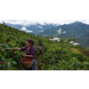 Káva Guatemala Maragogype – 100% Arabica (Varianta zrnková 500g)