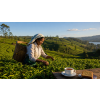 Ceylon OPI Pettiagalla – černý čaj (Varianta černý čaj 90g)