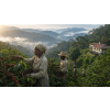 Káva Jamaica Blue Mountain v luxusní dóze – 100% Arabica (Varianta mletá 200g)