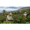 Káva Hawaii Kona v dóze – 100% Arabica Latino Café (Varianta mletá 200g)