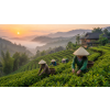 Vietnam Four Seasons Oolong – vietnamský oolong (Varianta oolong čaj 1000g)