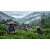 China Wu Lu Mountain – zelený čaj (Varianta zelený čaj 50g)