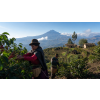 Káva Ekvádor – čerstvě pražená 100% arabica (Varianta mletá 100g)