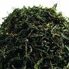 Formosa Pi Lo Chun – taiwanský zelený čaj (Varianta zelený čaj 500g)