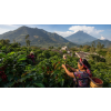 Káva Guatemala – čerstvě pražená 100% arabica (Varianta mletá 200g)