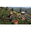 Káva Burundi – čerstvě pražená 100% arabica (Varianta mletá 200g)